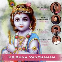 Krishna Vanthanam songs mp3