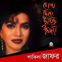 Chokh Diye Chuyecho Hridoy songs mp3