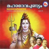 Mahaadevapunyam songs mp3