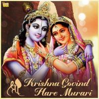 Shri Krishna Govind Jsr Madhukar Song Download Mp3
