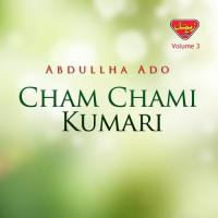 Cham Chami Kumari, Vol. 3 songs mp3