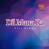 Dil Mana Ra Aziz Arman Song Download Mp3