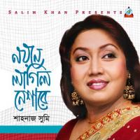 Valobaisho Bondhu Shahnaz Shumi Song Download Mp3