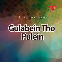 Gulabein Tho Pulein songs mp3