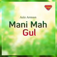 Pur Tou Zahir Aan Aziz Arman Song Download Mp3