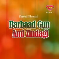 Barbaad Gun Ami Zindagi, Vol. 2 songs mp3