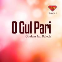 Dile Biyan Sadayan Ghulam Jan Baloch Song Download Mp3