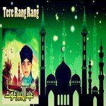 Tere Rang Rang songs mp3