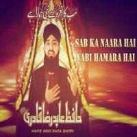 Bahar-e-Jaan Fiza Tum Ho Hafiz Abid Raza Qadri Song Download Mp3