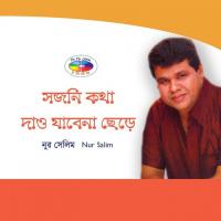 Shojoni Kotha Dao Jabe Na Chere songs mp3