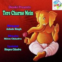 Tere Charno Mein songs mp3