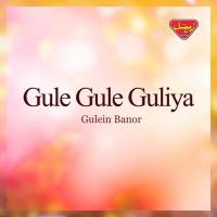 Gule Gule Guliya songs mp3