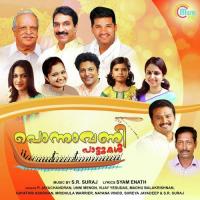 Ponnavani Pattukal songs mp3