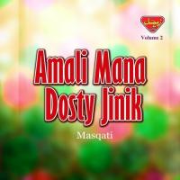 Amali Mana Dosty Jinik, Vol. 2 songs mp3