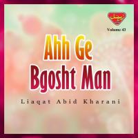 Ahh Ge Bgosht Man, Vol. 43 songs mp3