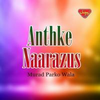 Anthke Naarazus songs mp3