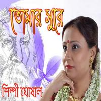 Tomar Surey songs mp3