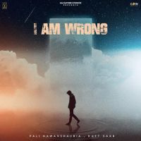 I Am Wrong Pali Nawanshahria Song Download Mp3
