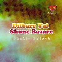 Dilbare Yal Shune Bazare, Vol. 23 songs mp3