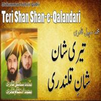 Teri Shan Shan-e-Qalandari songs mp3