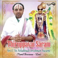 Thiruupavai Saram Sri U. Ve.Velukkudi Krishnan Swamy Song Download Mp3