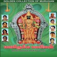 Senni Malai Nithyasree Mahadevan Song Download Mp3