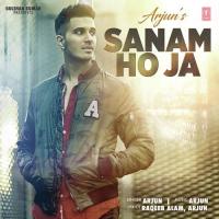 Sanam Ho Ja Arjun Song Download Mp3
