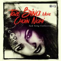Tore Bin Mohe Chain Nahi (From "Kisna") Ustad Rashid Khan Song Download Mp3