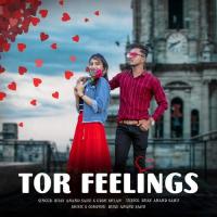Tor Feelings Bijay Anand Sahu,Urmi Milan Song Download Mp3
