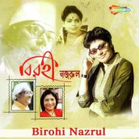 Birohi Nazrul songs mp3