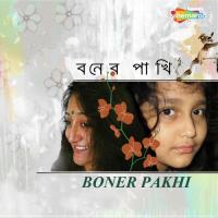 Tora Jija Bolish Bhai Supti Chakraborty Song Download Mp3