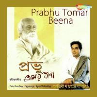 Prabhu Tomar Beena songs mp3