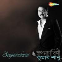 Jakhon Porbe Na Mor Kumar Sanu Song Download Mp3