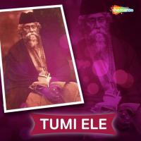 Tomake Dekhe Je Tushar Song Download Mp3