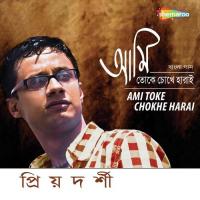 Ami Toke Chokhe Harai songs mp3