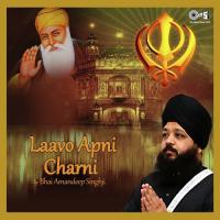 Laavo Apni Charni songs mp3