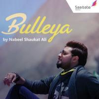 Bulleya Nabeel Shaukat Ali Song Download Mp3