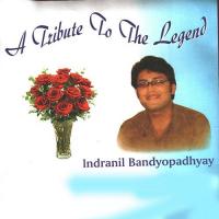 Zindegi Ka Safar (Cover Version) Indranil Banerjee Song Download Mp3