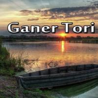 Ganer Tori songs mp3