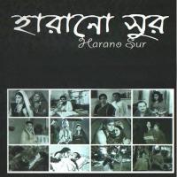 Bhese Jete Chai Goutam Ghosh Song Download Mp3