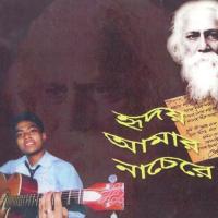 Tumi Sandhar Meghmala Rakesh Sasmal Song Download Mp3