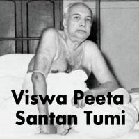 Viswa Peeta Santan Tumi songs mp3