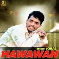 Hawawan Iqbal Song Download Mp3
