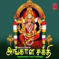 Meenatchi Amma Pushpavanam Kuppusamy Song Download Mp3