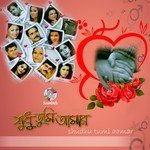 Tomar Preme Asif Akbar,Shakila Jafor Song Download Mp3