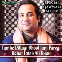 Tumhain Dil Lagi Bhool Jani Paregi Rahat Fateh Ali Khan Song Download Mp3