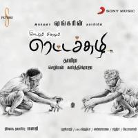 Naan Endru Sol ((Version 2)) Hariharan,Karthik Raja,K.Balachandar,Bharathiraja Song Download Mp3