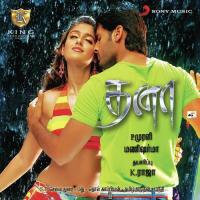 Chinna Kannula Mani Sharma,Rocky,Vinaitha,Nithin,Illeana Song Download Mp3