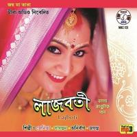 Roj Toke Natun Lage Anisha Song Download Mp3