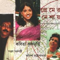 Nodia Kinare Kavita Krishnamurty Song Download Mp3